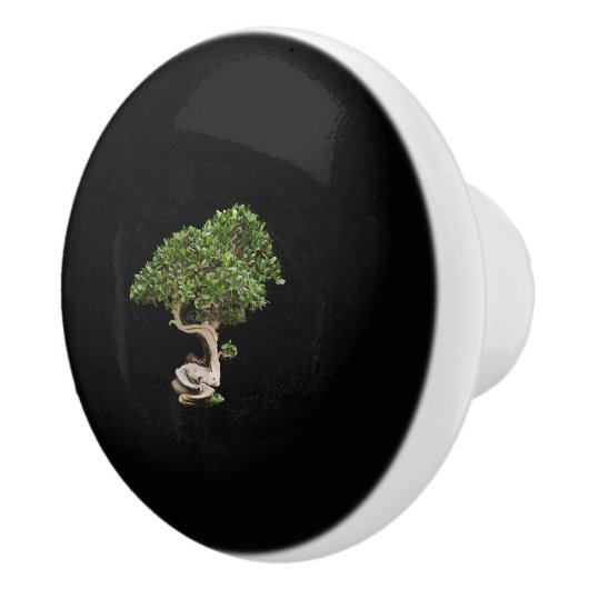 bonsai tree enso cirkel kalligrafie , bevroren keramische knop