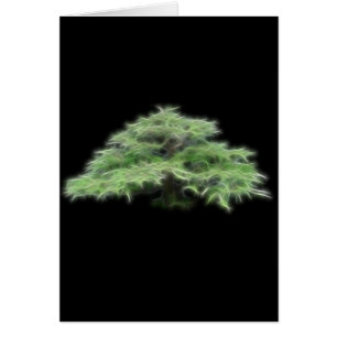 Bonsai Tree Green Plant