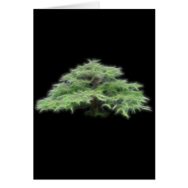 Bonsai Tree Green Plant (Voorkant)