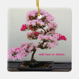 Bonsai Tree Keramisch Ornament