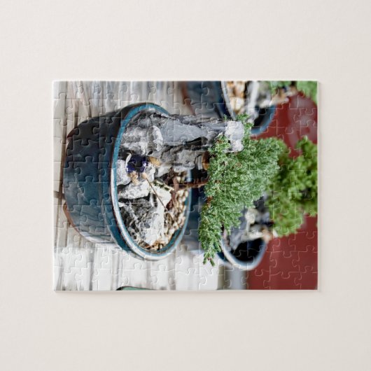 Bonsai Tree Legpuzzel (Horizontaal)
