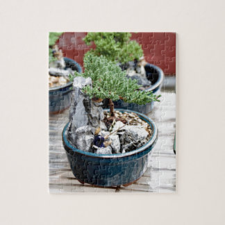 Bonsai Tree Legpuzzel