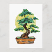Bonsai Tree Sunshine Briefkaart (Voorkant)