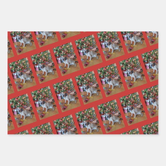 Bont Baby kerst inpakpapier (Voorkant 2)