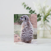 bont briefkaart (Staand voorkant)