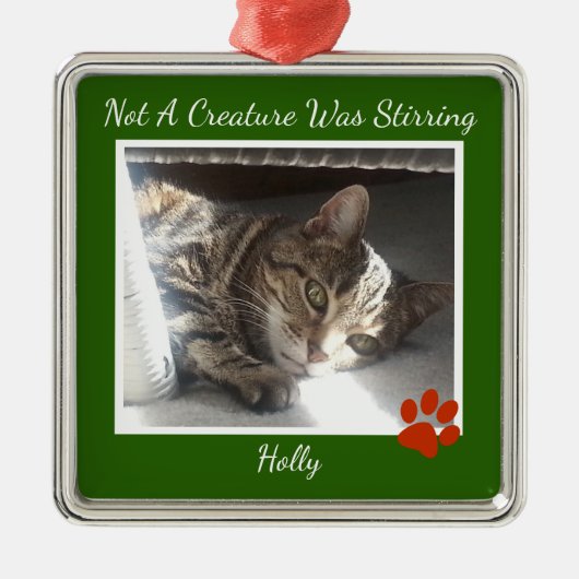 Bont huisdieren metalen ornament (Voorkant)