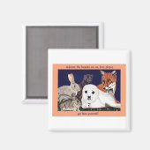 Bont is voor verwondering, niet voor Draag magneet (Voorkant / Achterkant)