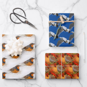 Bonte en Hermietlijsters en Ringnekgul Vogels Inpakpapier Vel