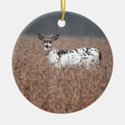 Bonte Herten Foto Ornament (Voorkant)