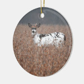 Bonte Herten Foto Ornament (Links)
