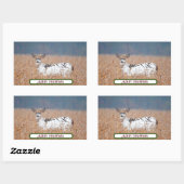 Bonte Herten Foto Stickers (Vel)