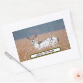 Bonte Herten Foto Stickers (Envelop)