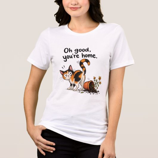 Bonte Kat Grappige Kat Bloempot Ramp Tri-Blend Shirt (Voorkant)