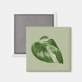 Bonte Monstera Albo Magneet (Voorkant / Achterkant)