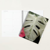Bonte Monstera-blad bloem Planner (Display)