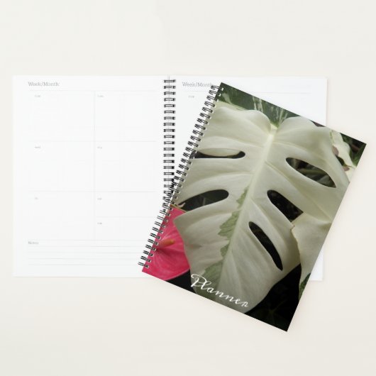 Bonte Monstera-blad bloem Planner (Display)