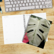 Bonte Monstera-blad bloem