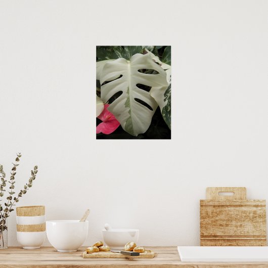 Bonte Monstera Blad Bloem Poster (Keuken)