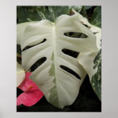 Bonte Monstera Blad Bloem Poster (Voorkant)