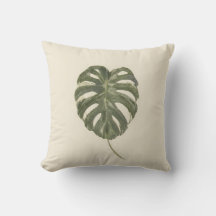 Bonte Monstera Blad Tropisch Organisch Modern