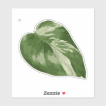 Bonte Monstera Sticker – Helder Uitgesneden Blad
