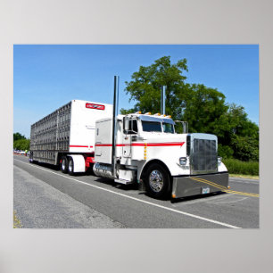 Bontrager's 379 Poster