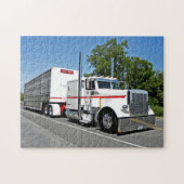 Bontrager's 379 Puzzle Legpuzzel (Horizontaal)