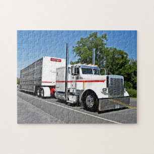 Bontrager's 379 Puzzle Legpuzzel