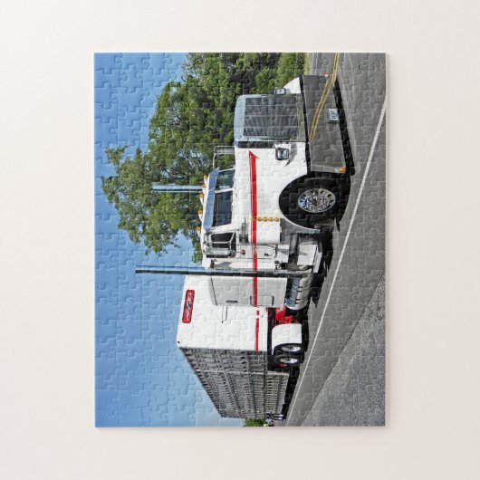 Bontrager's 379 Puzzle Legpuzzel (Verticaal)