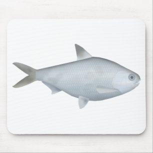 Bony Bream Muismat