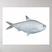 Bony Bream Poster (Voorkant)
