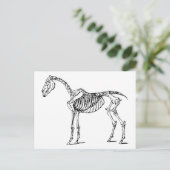 Bony Horse Briefkaart (Staand voorkant)
