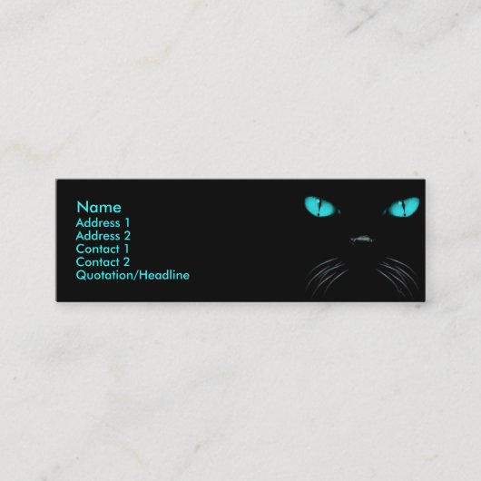 Boo - Aquamarine-profielkaart Mini Visitekaartje (Voorkant)