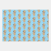 Boo-Boo Beer armen breed Inpakpapier Vel (Voorkant)