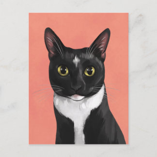 Boo de Tuxedo Cat Briefkaart