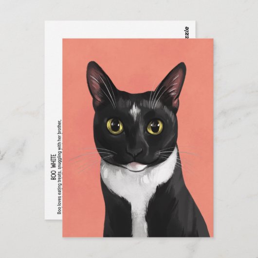 Boo de Tuxedo Cat Briefkaart (Voorkant / Achterkant)
