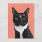 Boo de Tuxedo Cat Briefkaart (Voorkant)