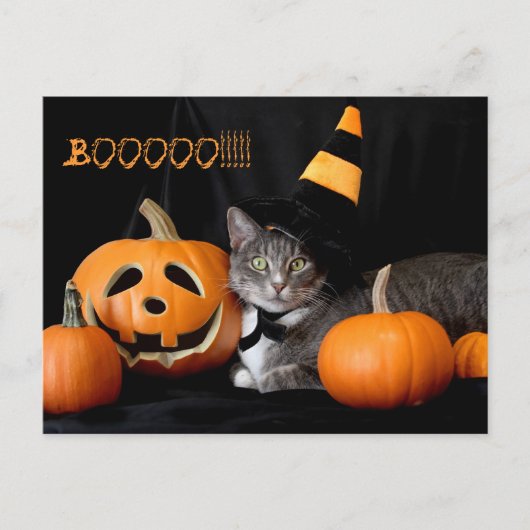 Boo Halloween Briefkaart met kat (Voorkant)