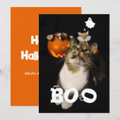 Boo Halloween Huisdier Geest Spin Ogen Foto Feestdagenkaart (Voorkant / Achterkant)