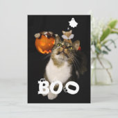 Boo Halloween Huisdier Geest Spin Ogen Foto Feestdagenkaart (Staand voorkant)