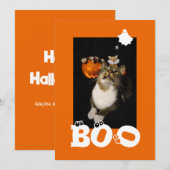 Boo Halloween Kat Geest Spinnenweb Oogballen Foto Feestdagenkaart (Voorkant / Achterkant)