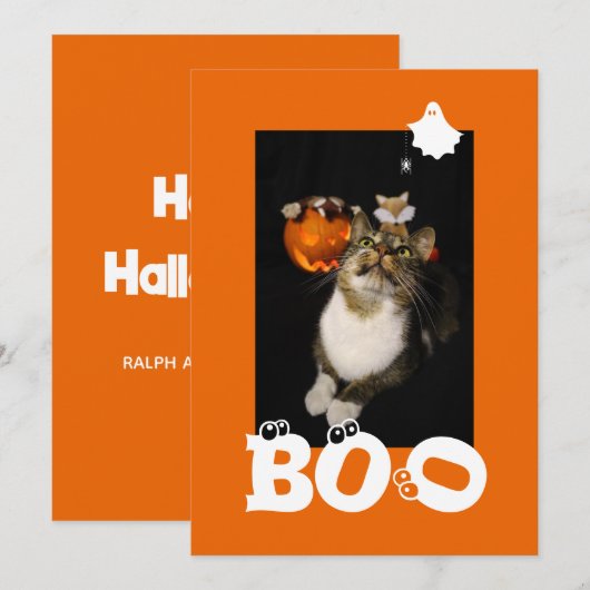 Boo Halloween Kat Geest Spinnenweb Oogballen Foto Feestdagenkaart (Voorkant / Achterkant)