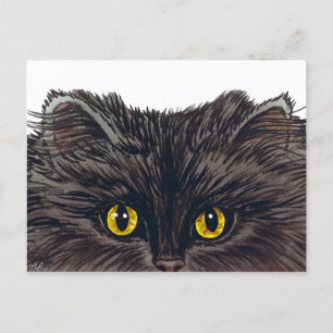 BOO! Spooky Black Cat van de oorspronkelijke Water Briefkaart