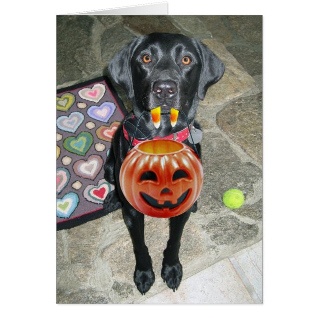 BOO Wie (Voorkant)
