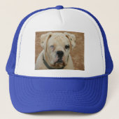 BOOBOO TRUCKER PET (Voorkant)