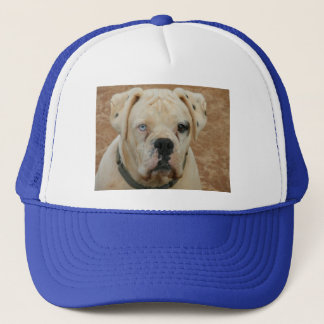 BOOBOO TRUCKER PET
