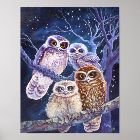 Boobook Owl Familie. Poster (Voorkant)