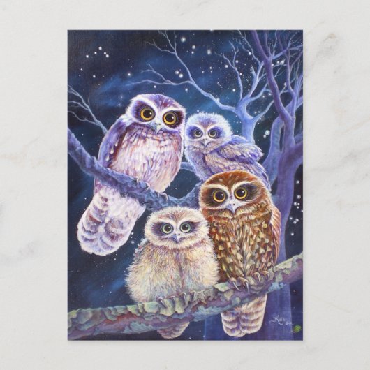 Boobook Owl Family Briefkaart (Voorkant)