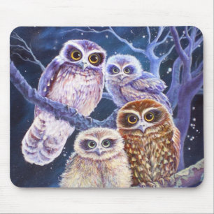 Boobook Owl Family Muismat