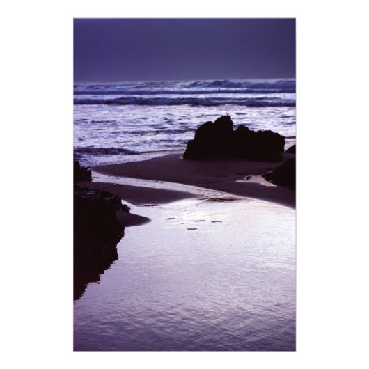 Boobys Bay Foto Afdruk (Voorkant)